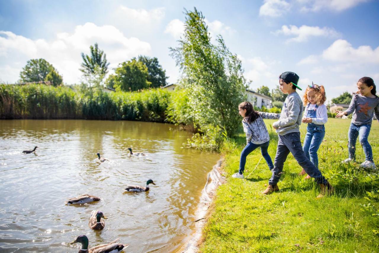 Holiday park Topparken - Recreatiepark Het Esmeer 3*